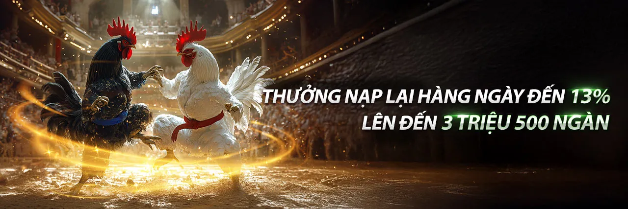Đá gà trực tuyến xocdia chính thức